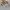 Shein Luxury Sweatshirt Wanita white gray photo 2