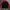 Fila Casual Windbreaker Pria red black photo 1