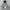 Russell Athletic Vintage Y2K Hoody Pria gray photo 2