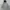 Russell Athletic Vintage Y2K Hoody Pria gray photo 1