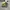 Nike Sportswear Sneakers Pria black yellow photo 1