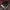 Pierre Cardin Casual Bag Pria black photo 2