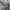 Converse Streetwear Casual Fleece Pria tan navy photo 8