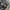 Converse Streetwear Casual Fleece Pria tan navy photo 7