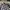 Converse Streetwear Casual Fleece Pria tan navy photo 5