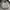 Converse Streetwear Casual Fleece Pria tan navy photo 3