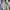 Converse Streetwear Casual Fleece Pria tan navy photo 4