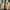 Streetwear Puffer jacket Pria yellow photo 1
