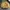 Streetwear Puffer jacket Pria yellow photo 2
