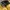 Streetwear Puffer jacket Pria yellow photo 4