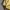 Streetwear Puffer jacket Pria yellow photo 5