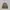 Biker Sportswear Windbreaker Pria brown photo 2