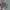 Adidas Streetwear Casual Sneakers Pria white black photo 3