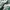 Adidas Streetwear Casual Sneakers Pria white green photo 2