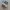 Adidas Streetwear Casual Sneakers Pria white brown photo 3