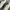 Adidas Streetwear Casual Sneakers Wanita gray yellow photo 2