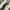 Adidas Streetwear Casual Sneakers Wanita Gray Yellow