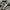 Adidas Streetwear Casual Sneakers Pria white black photo 2
