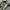 Adidas Streetwear Casual Sneakers Pria White Black