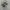 Adidas Streetwear Casual Sneakers Pria white black photo 1