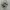 Adidas Streetwear Casual Sneakers Pria White Black