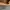 Casual Casual shoe Pria tan photo 7