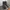 Streetwear Indie Boots Pria black photo 6