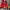 Luxury Casual Sneakers Pria red photo 3