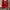 Luxury Casual Sneakers Pria red photo 4