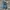 Goth Emo Jeans Pria navy blue photo 8