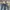 Goth Emo Jeans Pria navy blue photo 6