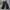 Goth Avant Garde Jeans Pria black gray photo 6