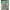 Jungle Storm Streetwear Sportswear Windbreaker Pria tan brown photo 2