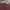 Levi's Vintage Jeans Pria burgundy photo 4