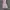 Y2K Indie Pria pink photo 4