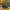 Dr. Martens Casual Loafer Pria black photo 1