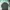 Japanese brand Streetwear Casual Parka Pria green photo 3
