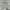 Gianni Valentino Vintage Casual Harrington Jacket Pria Gray Cream