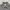Casual Harrington jacket Pria gray photo 4