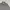 Casual Harrington jacket Pria gray photo 2