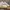 Fendi Luxury Casual Casual shoe Pria white khaki photo 2
