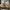 Fendi Luxury Casual Casual shoe Pria white khaki photo 5