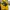 Stussy Casual Hoody Pria yellow photo 1