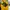 Stussy Casual Hoody Pria Yellow