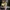 Luxury Coquette Evening dress Wanita gold cream photo 1