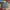 Streetwear Casual Sweatshirt Pria multicolor photo 1