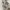 Vintage Casual Culotte Wanita white photo 4