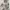 Vintage Casual Culotte Wanita white photo 3