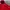 Polo Ralph Lauren Sportswear Track jacket Pria red photo 2