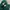 Adidas Sportswear Hoody Pria green photo 4